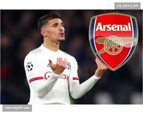 全方位深入认识法甲冠军标志五大关键要点的全面权威终极解读指南